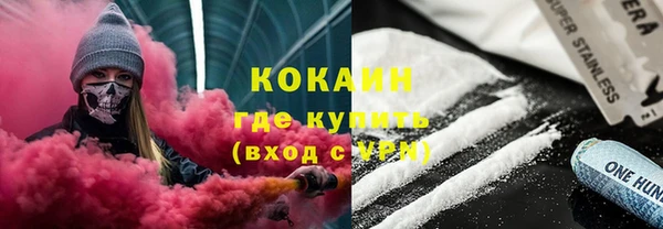шишки Дмитров