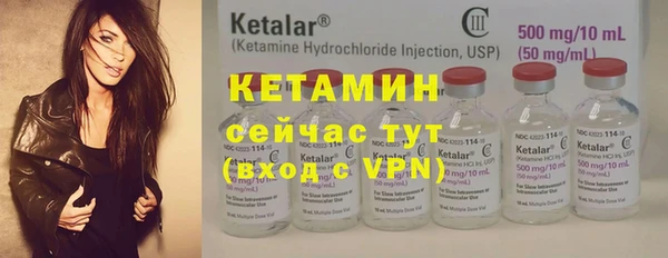 шишки Дмитров