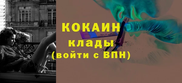 шишки Дмитров