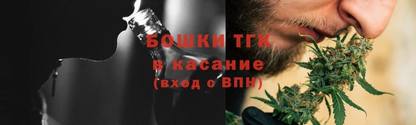 прущая мука Дмитриев