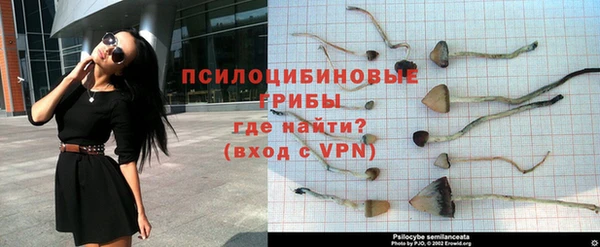 ALPHA PVP Дмитровск