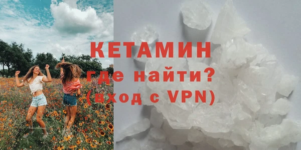 шишки Дмитров