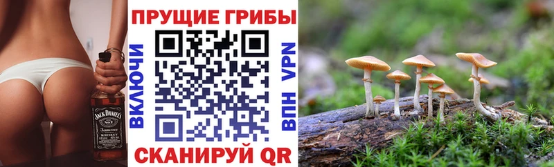 Галлюциногенные грибы мицелий  Тында 