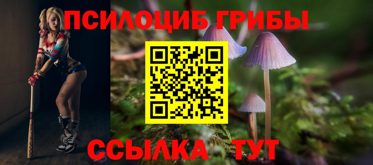 Псилоцибиновые грибы Psilocybine cubensis  Вход с VPN  Псилоцибиновые грибы Cubensis  Тында 